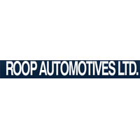 roop-auto